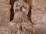Dama Sargantana